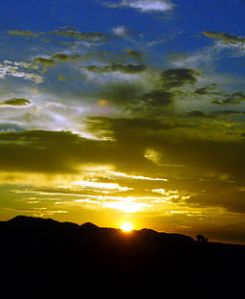 256px-Mustard_Blue_Sunset